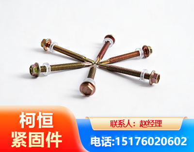 菏泽六角钻尾丝